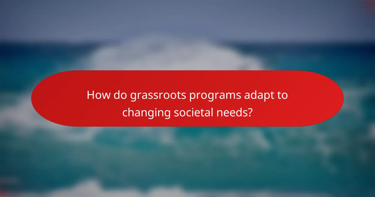 How do grassroots programs adapt to changing societal needs?